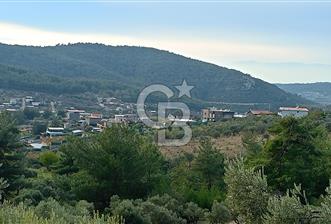 Doğancılar satılık tarla - 8 - 321005