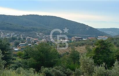 Doğancılar satılık tarla