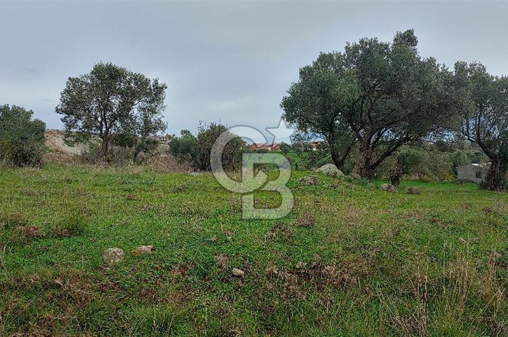 Görecede satılık bahçe