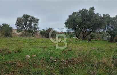 Görecede satılık bahçe