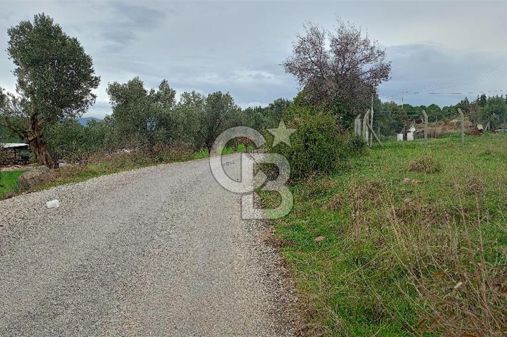 Görecede satılık bahçe