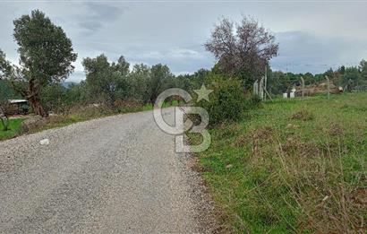 Görecede satılık bahçe