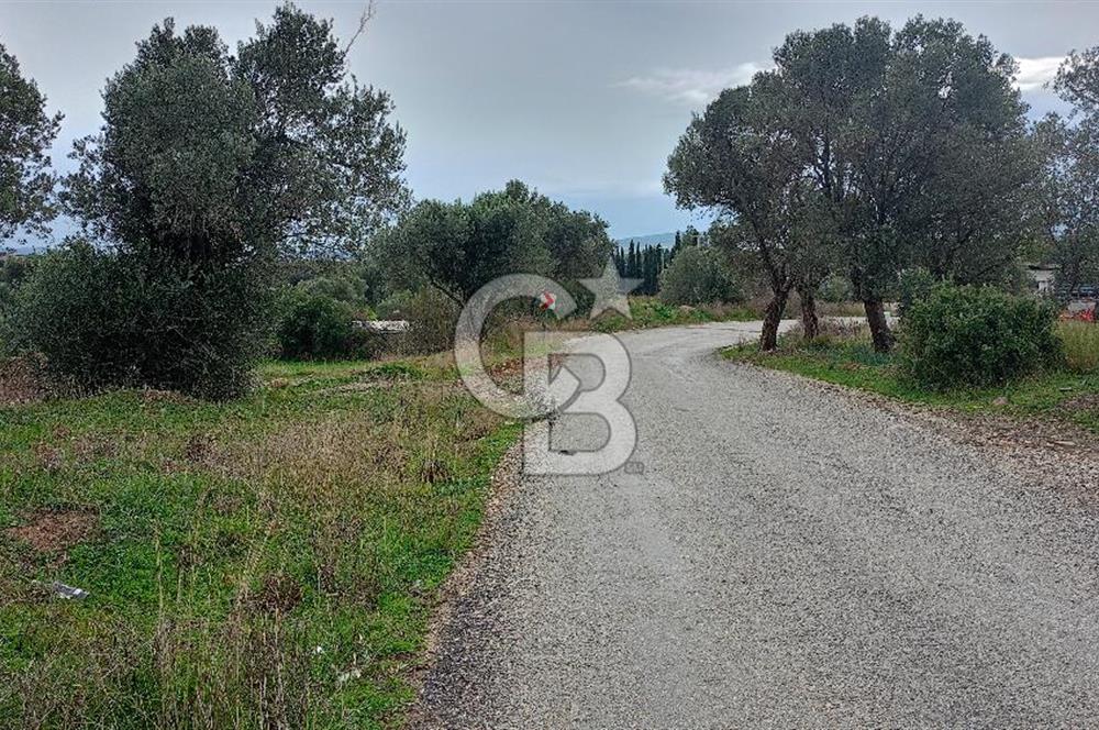 Görecede satılık bahçe