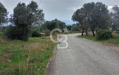 Görecede satılık bahçe