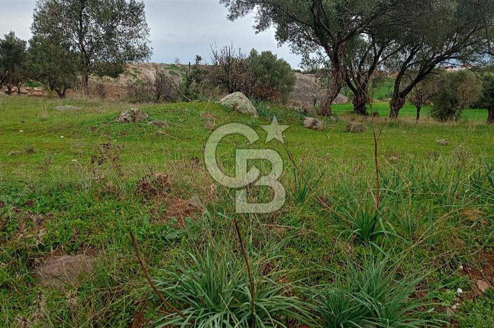 Görecede satılık bahçe