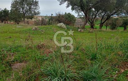 Görecede satılık bahçe