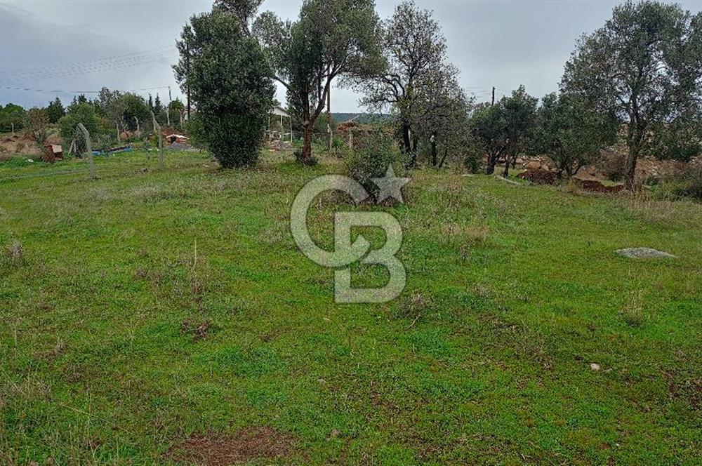 Görecede satılık bahçe