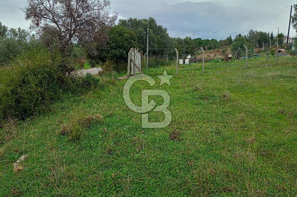Görecede satılık bahçe