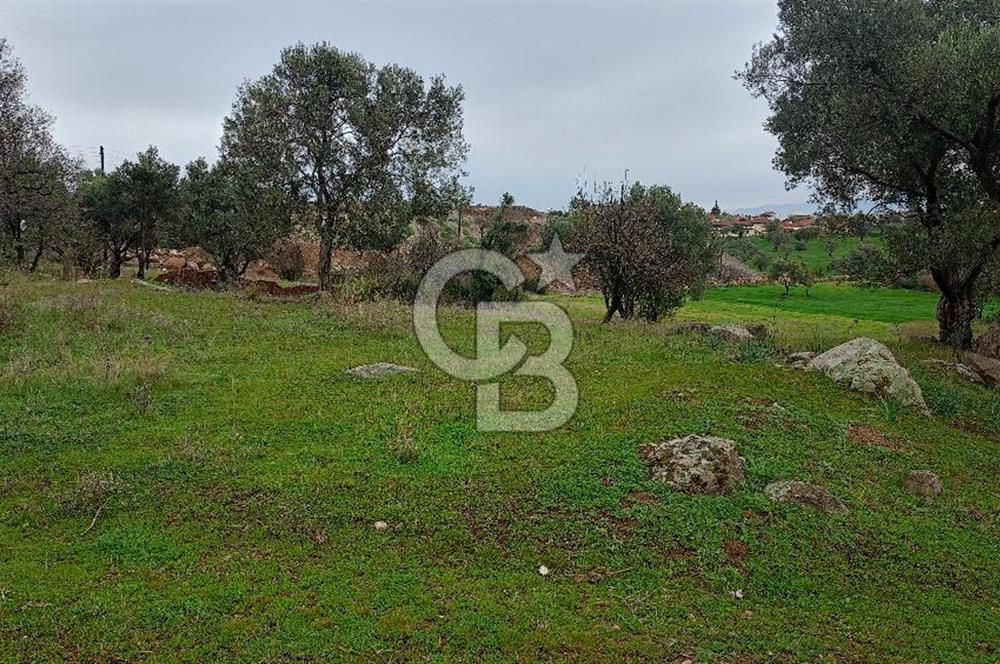 Görecede satılık bahçe