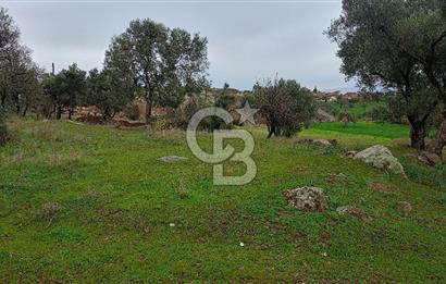 Görecede satılık bahçe