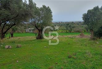 Görecede satılık bahçe - 5 - 321000