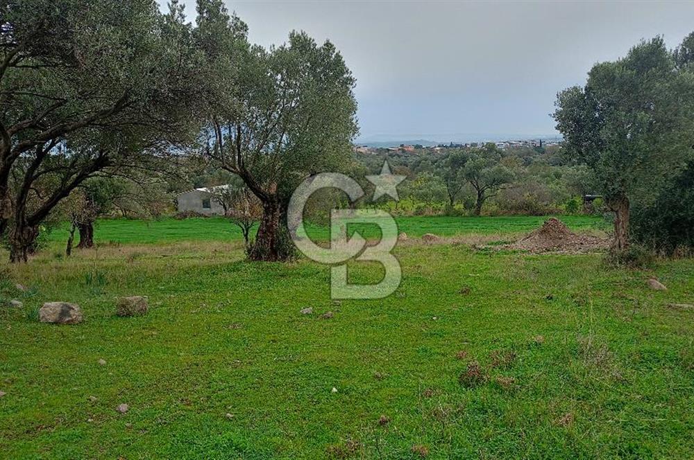 Görecede satılık bahçe