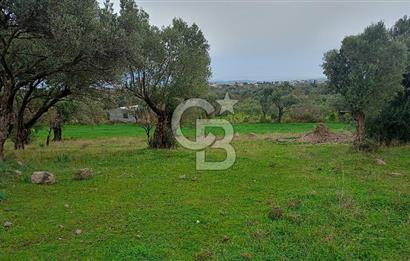 Görecede satılık bahçe