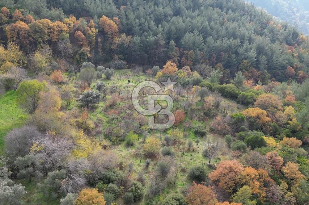 BAYINDIR SARIYURT’TA DOĞAYLA İÇ İÇE SATILIK ARAZİ