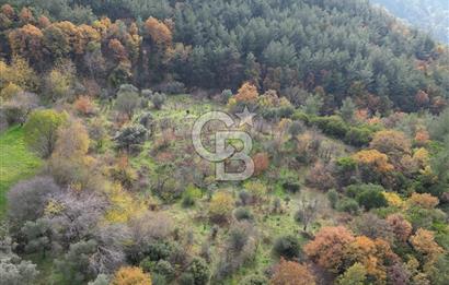 BAYINDIR SARIYURT’TA DOĞAYLA İÇ İÇE SATILIK ARAZİ