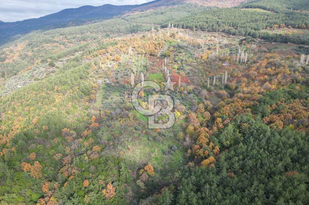 BAYINDIR SARIYURT’TA DOĞAYLA İÇ İÇE SATILIK ARAZİ