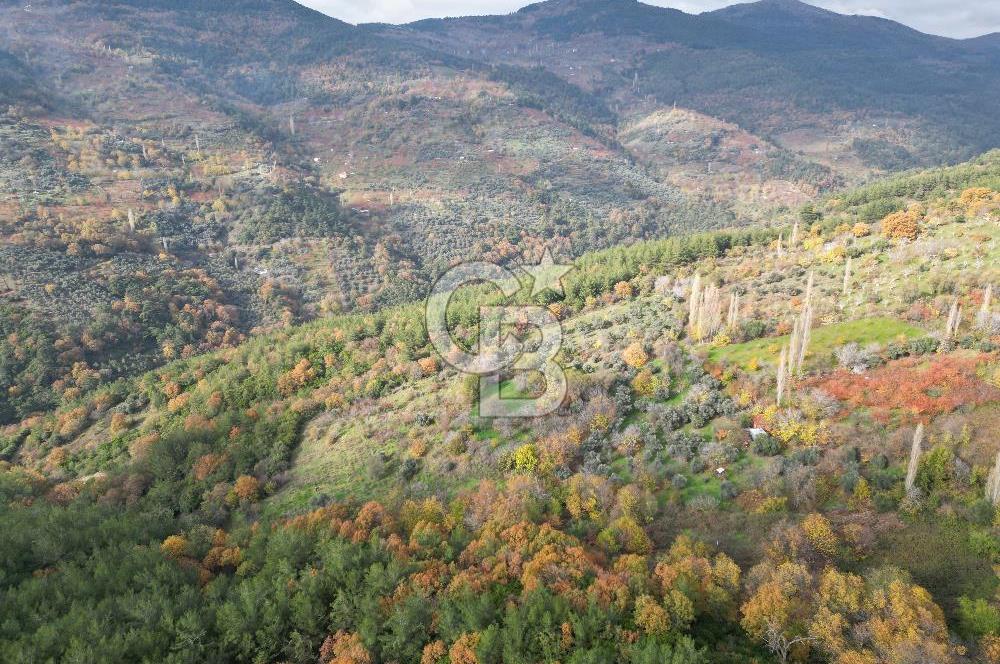 BAYINDIR SARIYURT’TA DOĞAYLA İÇ İÇE SATILIK ARAZİ