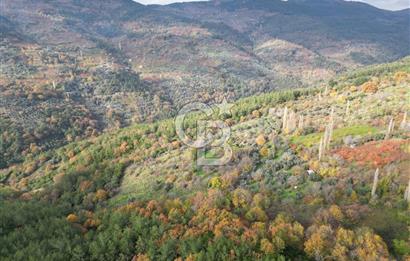 BAYINDIR SARIYURT’TA DOĞAYLA İÇ İÇE SATILIK ARAZİ