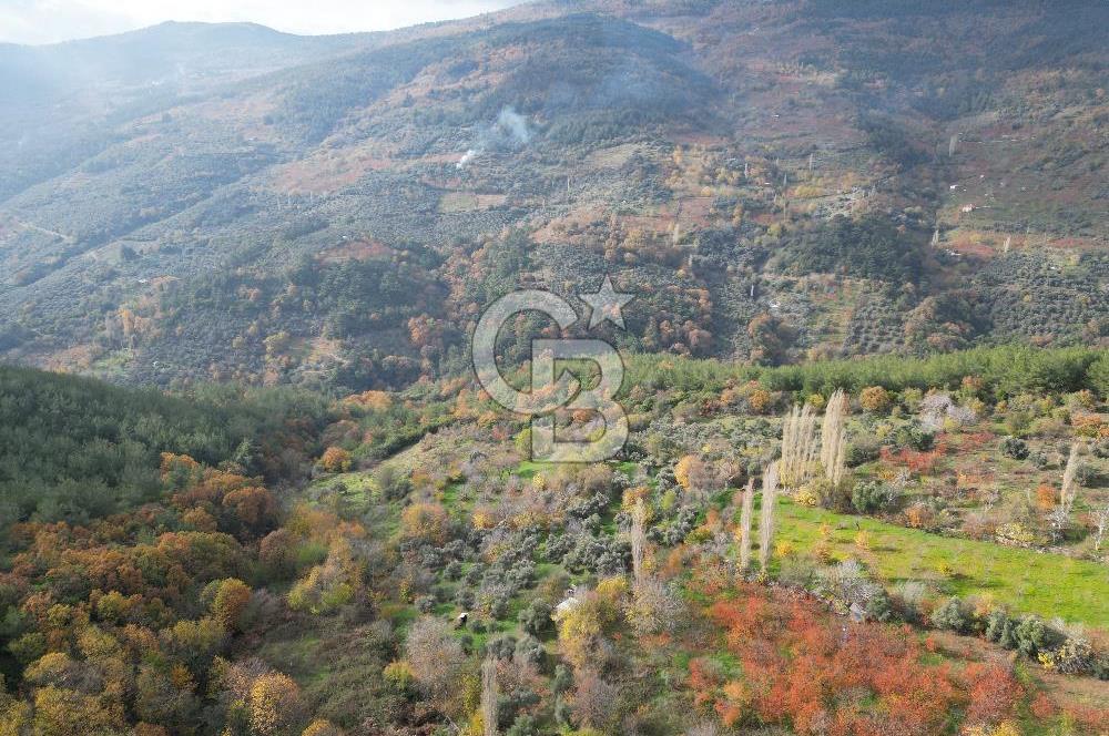 BAYINDIR SARIYURT’TA DOĞAYLA İÇ İÇE SATILIK ARAZİ