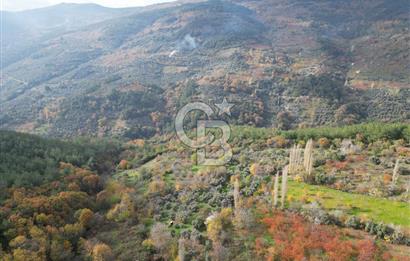 BAYINDIR SARIYURT’TA DOĞAYLA İÇ İÇE SATILIK ARAZİ