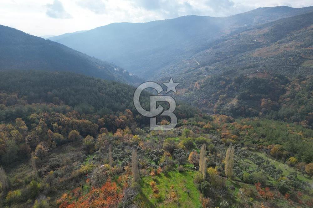 BAYINDIR SARIYURT’TA DOĞAYLA İÇ İÇE SATILIK ARAZİ