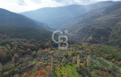 BAYINDIR SARIYURT’TA DOĞAYLA İÇ İÇE SATILIK ARAZİ