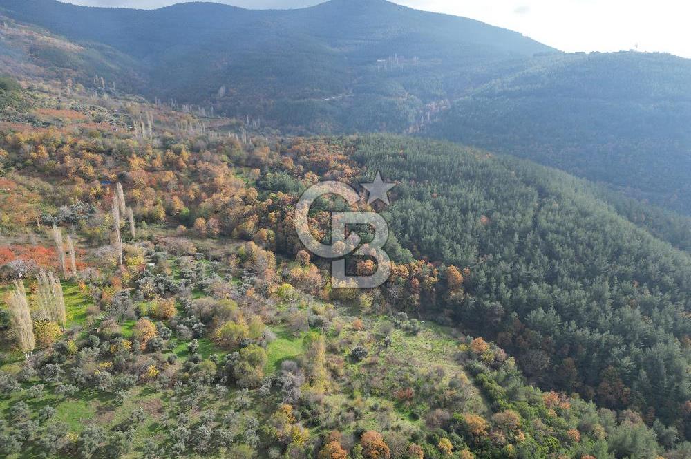 BAYINDIR SARIYURT’TA DOĞAYLA İÇ İÇE SATILIK ARAZİ