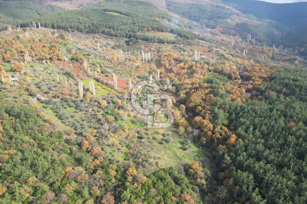 BAYINDIR SARIYURT’TA DOĞAYLA İÇ İÇE SATILIK ARAZİ