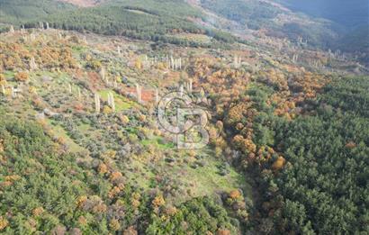 BAYINDIR SARIYURT’TA DOĞAYLA İÇ İÇE SATILIK ARAZİ