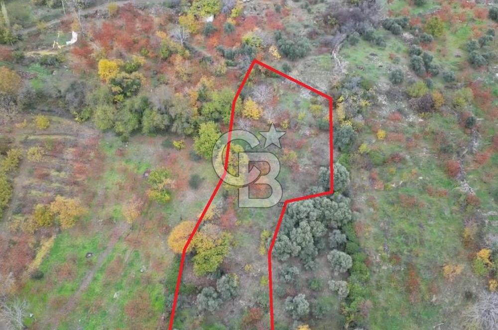 BAYINDIR KIZILOBA YAYLASINDA DOĞAYLA İÇ İÇE SATILIK ARAZİ