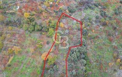 BAYINDIR KIZILOBA YAYLASINDA DOĞAYLA İÇ İÇE SATILIK ARAZİ