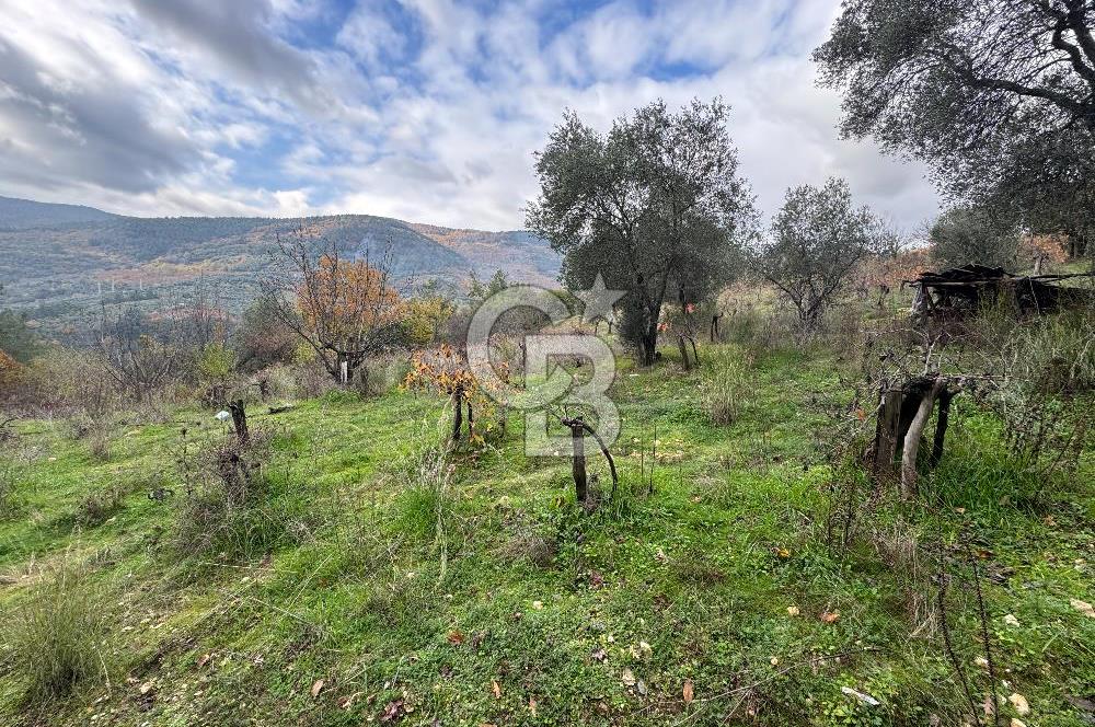 BAYINDIR SARIYURT’TA DOĞAYLA İÇ İÇE SATILIK ARAZİ