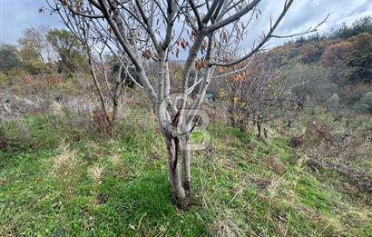 BAYINDIR SARIYURT’TA DOĞAYLA İÇ İÇE SATILIK ARAZİ