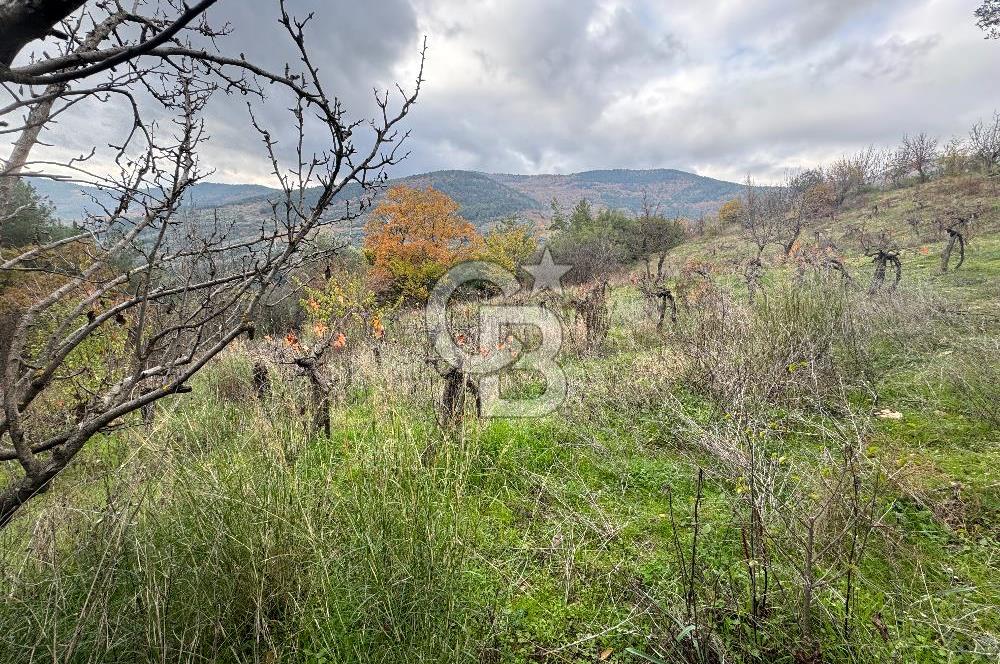 BAYINDIR SARIYURT’TA DOĞAYLA İÇ İÇE SATILIK ARAZİ