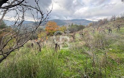 BAYINDIR SARIYURT’TA DOĞAYLA İÇ İÇE SATILIK ARAZİ