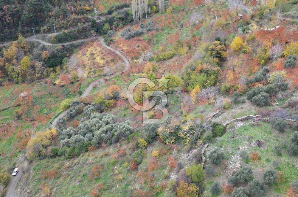 BAYINDIR KIZILOBA YAYLASINDA DOĞAYLA İÇ İÇE SATILIK ARAZİ