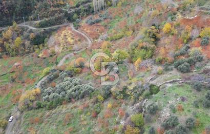 BAYINDIR KIZILOBA YAYLASINDA DOĞAYLA İÇ İÇE SATILIK ARAZİ