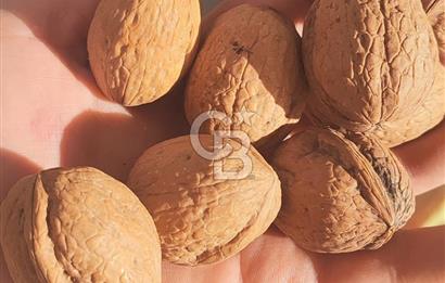 BAYINDIR SARIYURT’TA DOĞAYLA İÇ İÇE SATILIK ARAZİ