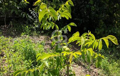 BAYINDIR SARIYURT’TA DOĞAYLA İÇ İÇE SATILIK ARAZİ