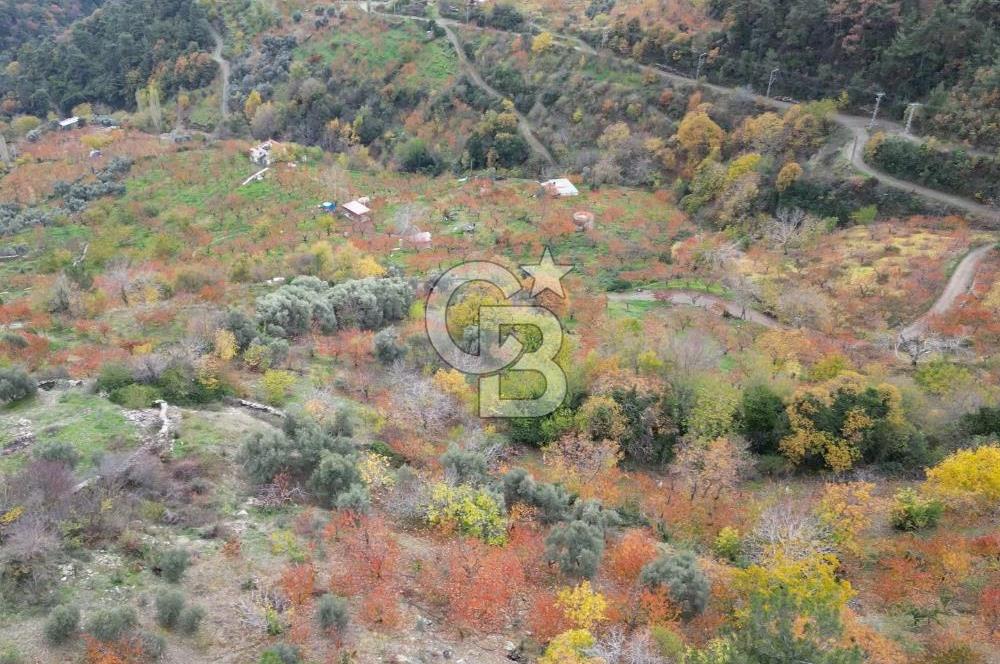 BAYINDIR KIZILOBA YAYLASINDA DOĞAYLA İÇ İÇE SATILIK ARAZİ