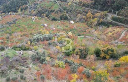 BAYINDIR KIZILOBA YAYLASINDA DOĞAYLA İÇ İÇE SATILIK ARAZİ