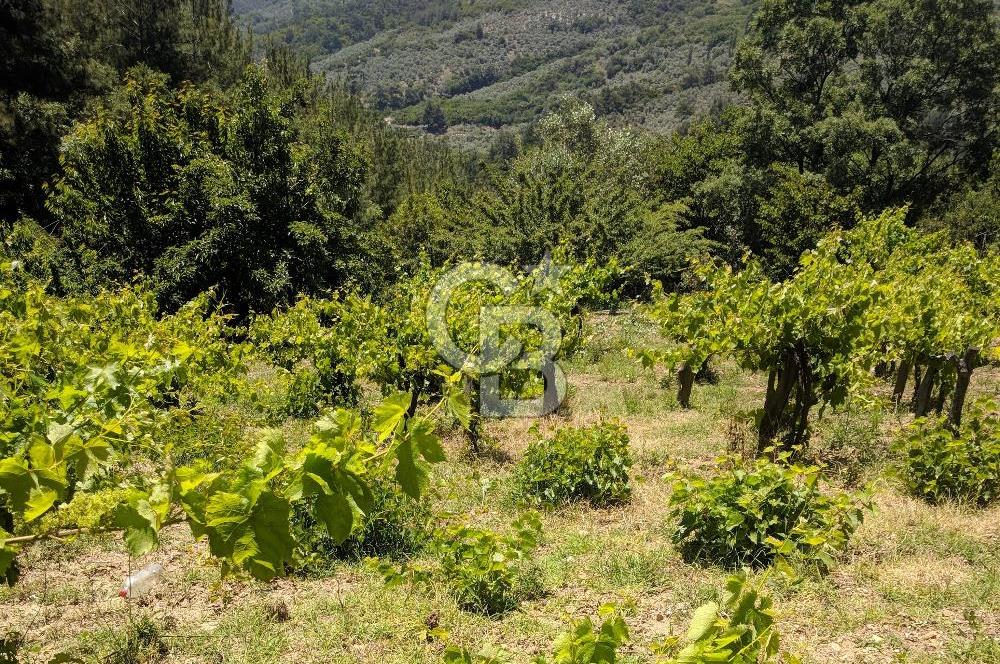 BAYINDIR SARIYURT’TA DOĞAYLA İÇ İÇE SATILIK ARAZİ