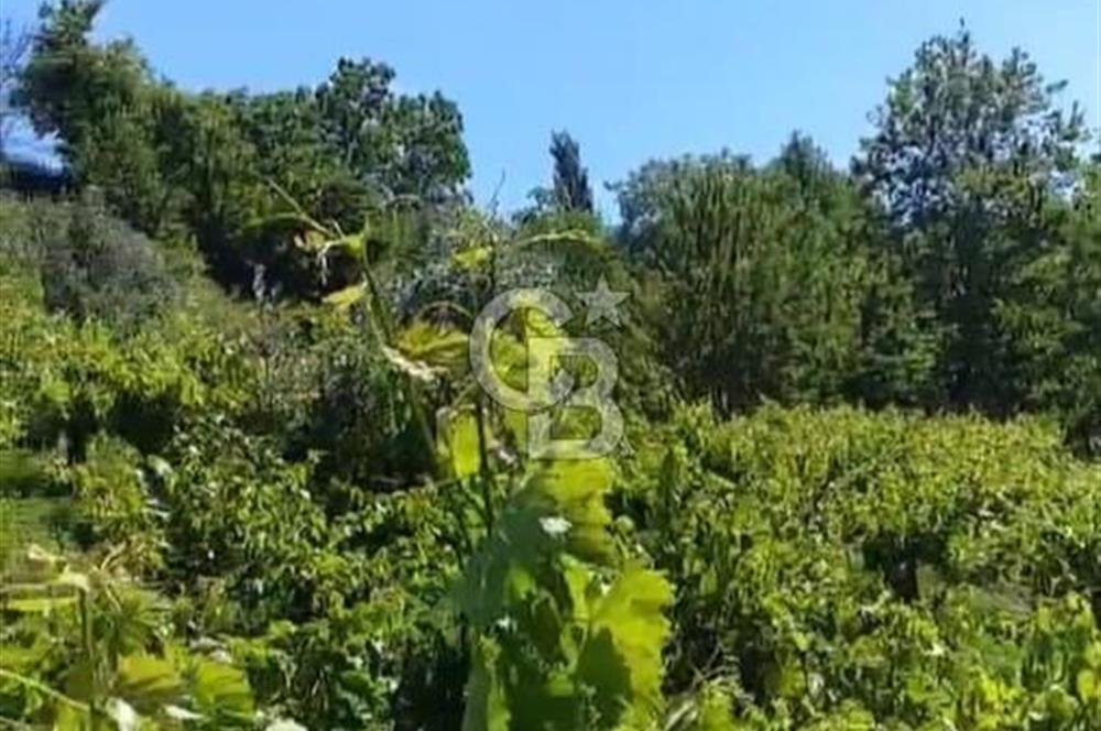 BAYINDIR SARIYURT’TA DOĞAYLA İÇ İÇE SATILIK ARAZİ