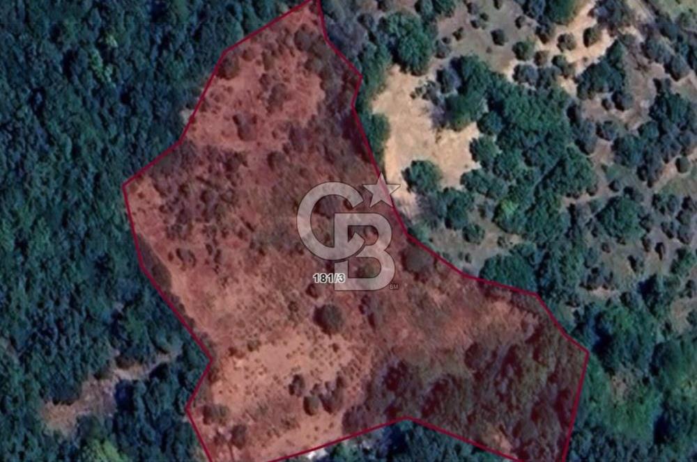 BAYINDIR SARIYURT’TA DOĞAYLA İÇ İÇE SATILIK ARAZİ