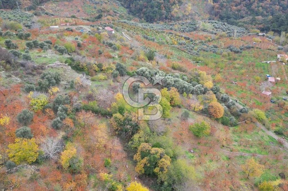 BAYINDIR KIZILOBA YAYLASINDA DOĞAYLA İÇ İÇE SATILIK ARAZİ