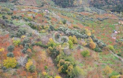 BAYINDIR KIZILOBA YAYLASINDA DOĞAYLA İÇ İÇE SATILIK ARAZİ