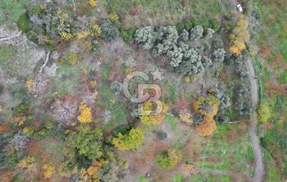 BAYINDIR KIZILOBA YAYLASINDA DOĞAYLA İÇ İÇE SATILIK ARAZİ