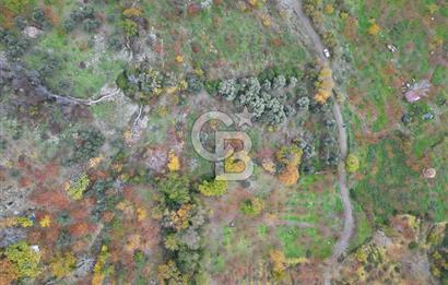 BAYINDIR KIZILOBA YAYLASINDA DOĞAYLA İÇ İÇE SATILIK ARAZİ