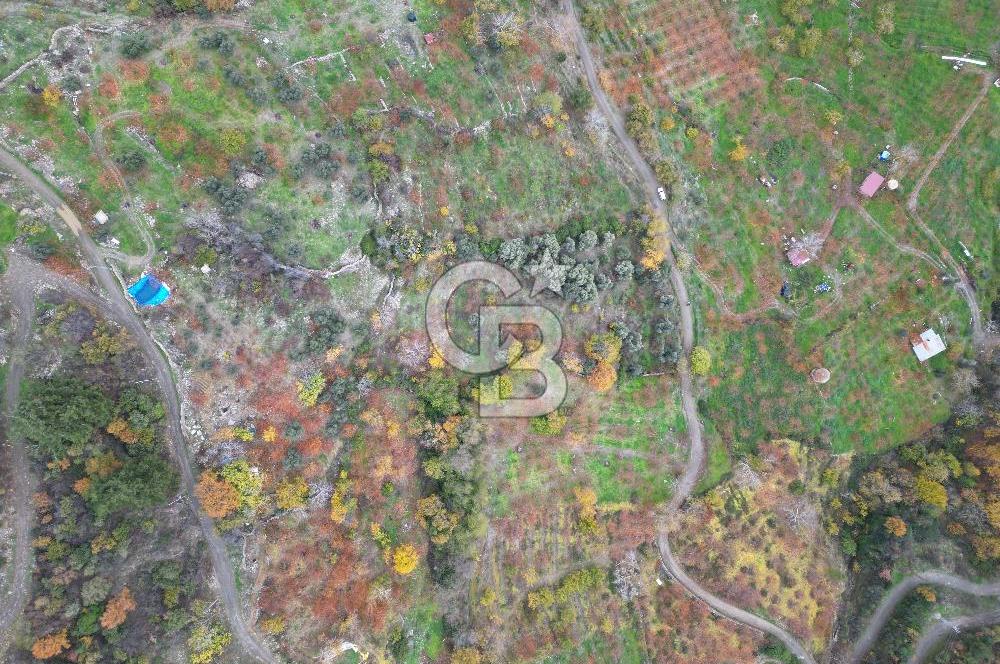 BAYINDIR KIZILOBA YAYLASINDA DOĞAYLA İÇ İÇE SATILIK ARAZİ