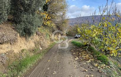 BAYINDIR KIZILOBA YAYLASINDA DOĞAYLA İÇ İÇE SATILIK ARAZİ